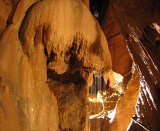 Anim Grotte